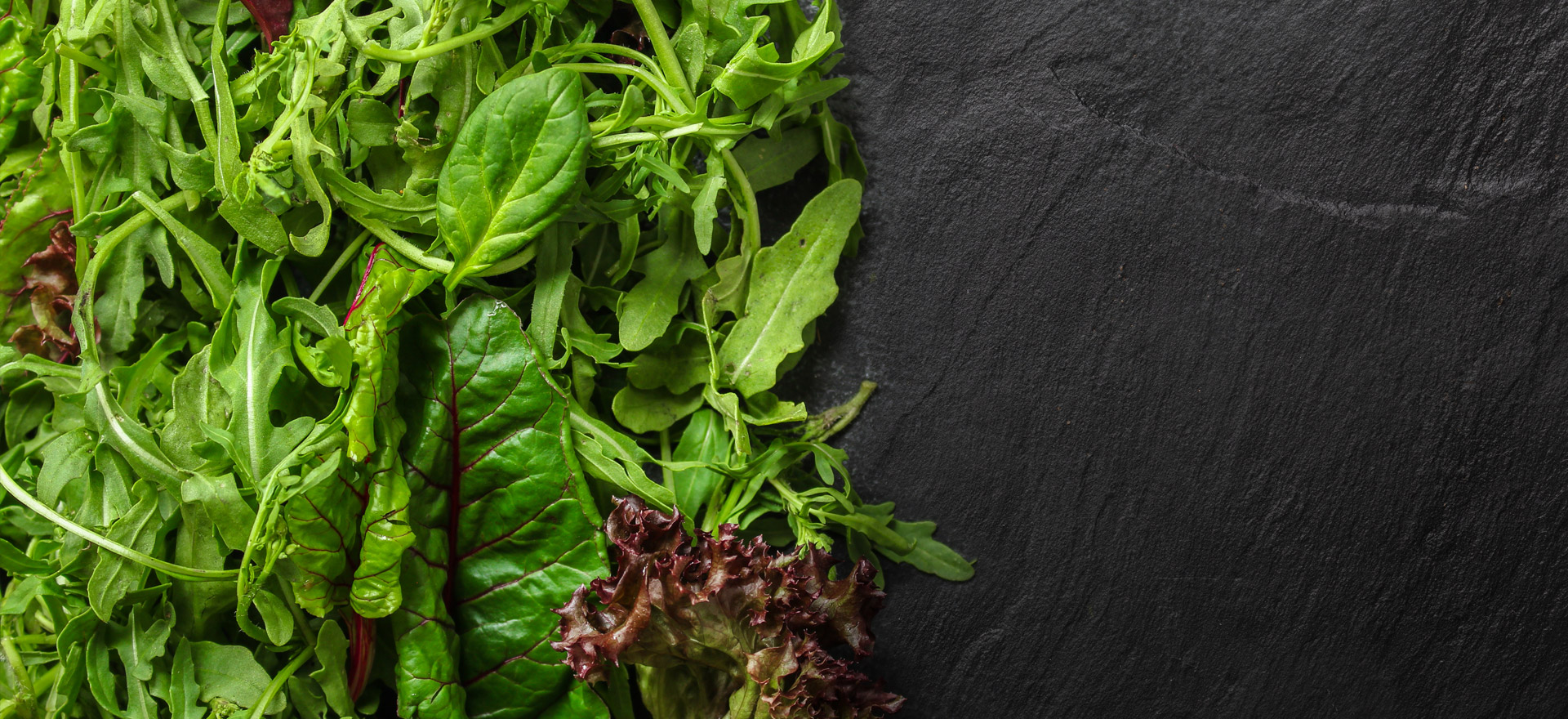 03_slider_1920x880px_salat.jpg