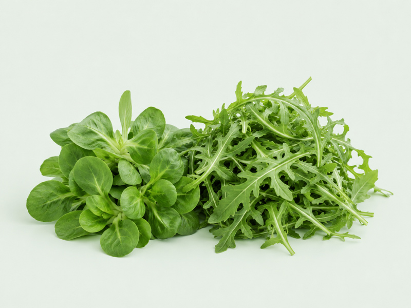 Kleinsalate