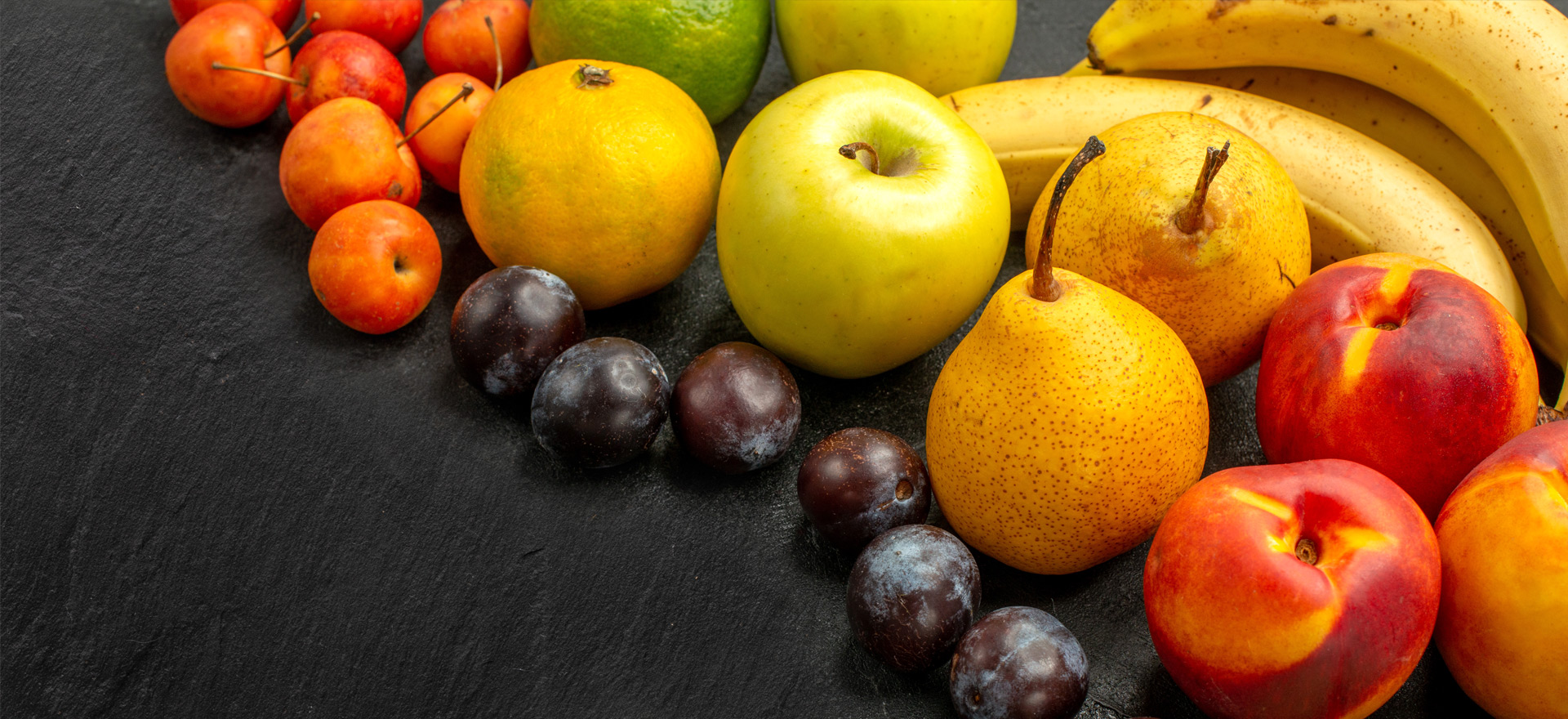 01_slider_1920x880px_frucht.jpg